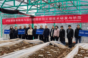 黄冈市成功举办羊肚菌高效栽培现场会，“博士工作站”揭牌攻坚“菜-菌”轮作技术