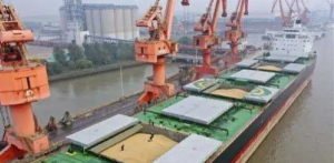 俄媒：普京给恢复黑海运粮协议提条件，阐明了恢复参与协议的条件