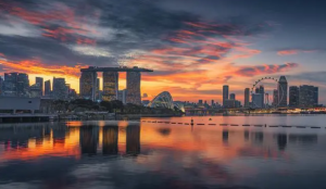 《南华早报》：新加坡成立网络防御部队的背后