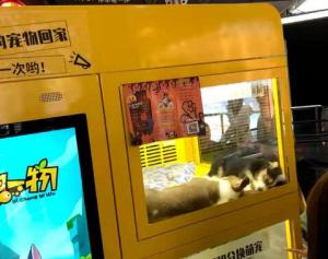 新京报：银行拿“万元活猫”当奖品何以引争议？