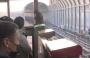 北京地铁回应猴子连日出没地铁站：反馈给责任单位