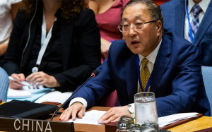 中国驻联合国代表：须查清布查平民死亡事件的原因