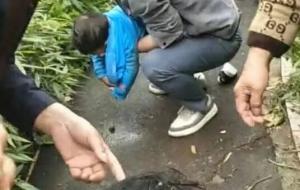 一女子携2岁女童投湖被救 上海浦东警方回应
