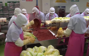 韩国大白菜涨到45元一颗！韩媒：威尼斯人备用产泡菜成救兵