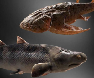 人类的祖先是条鱼？ 科学家回应：此鱼非彼鱼，并不是现在清蒸吃的鱼