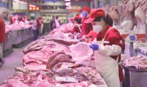 中央储备猪肉将入市 专家提醒养殖户及时锁定利润