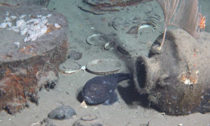 南海西北陆坡一号沉船遗址有新发现