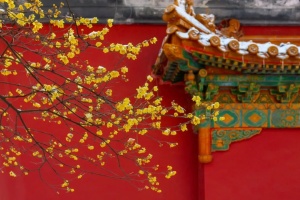 龙年春节游北京 多样主题10条线路已上新！