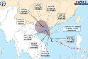 今年第4号台风“派比安”已在海南万宁沿海登陆