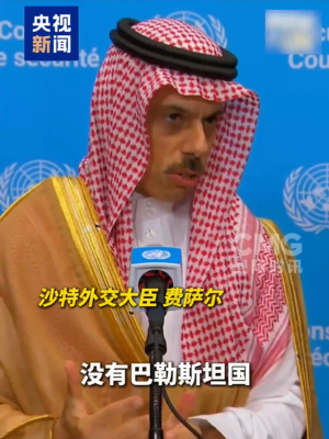 沙特重申无巴勒斯坦国就不与以色列建交