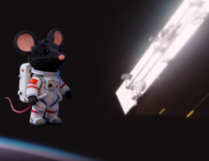 视频丨中国空间站首次迎来4位小鼠“航天员”