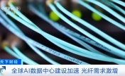 除了芯片，它也爆火！全球资本涌入