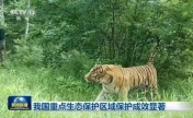 我国重点生态保护区域保护成效显著