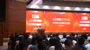 大卫国际2025年上半年工作总结大会圆满收官