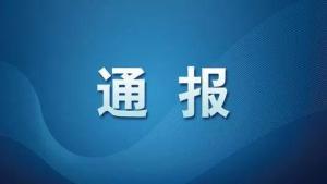 VE降价致维生素龙头新和成山东“现金牛”承压:精化科技上半年净利近乎“腰斩”,少赚近6亿元
