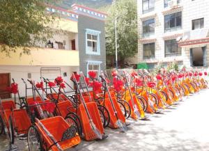 北京建藏援藏工作者协会2020捡拾车项目总结会召开