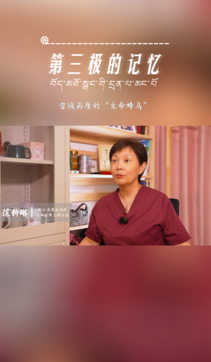 第三极的记忆｜雪域高原的“生命蜂鸟”——侯新琳专访