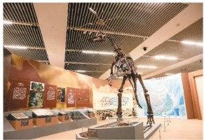 220余件（组）文物亮相国博 勾勒中国百万年人类史