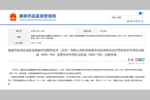 早报｜中国新冠治疗药获批、印国防参谋长遇难