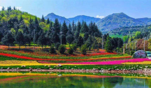 早报｜西安累计确诊1758例、北京将设立国家植物园