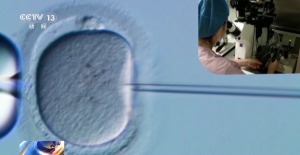 胚胎是人还是物?看全国首例&quot;准胎儿&quot;获赔抚养费案