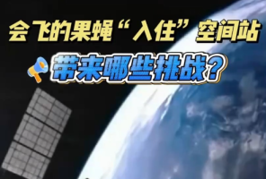 太空"新成员"来啦！果蝇入住"天宫"带来这些挑战