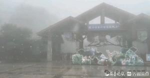 济南迎来2024年冬季首场雪：白色梦境的开始