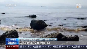 珠海近岸多地水色異常 專家：形成原因有多方面