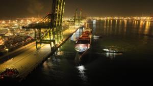 6600吨智利车厘子运抵天津港 丰富百姓餐桌