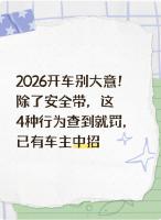 乘客没系安全带车主被罚 交警解释 后排也要系安全带