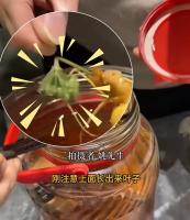 酒里泡了3年的人参突然长出绿叶 罕见现象引关注