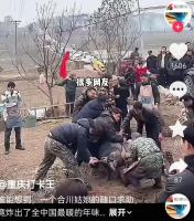 呆呆杀猪 无心求助引爆流量狂欢