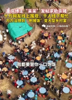 呆呆家杀猪宴收官约四五千人赴宴 流量狂欢下的乡土温情！