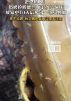 奶奶捡螳螂壳治尿床孵出一窝小螳螂 意外孵化引发热议
