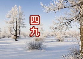 明日进四九！少吃土豆南瓜 多吃这4样