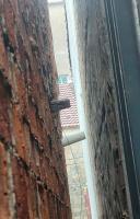 男子杀人拒悔罪 还称后悔“没灭门” 态度嚣张拒不赔偿