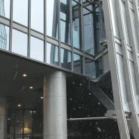 烂暴雪是什么雪 湿雪来袭注意安全