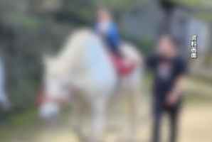 小孩骑马受惊爸爸怒扇动物园员工 工作人员连连道歉