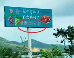 300多元一斤的葡萄和草莓均已卖光 高价水果引发热议