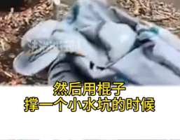 千万不要小视小水坑，暗藏大隐患！男子户外遇水坑木棍测深度令人后怕