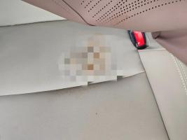 坐顺风车排泄后失联男子被封号 平台限制发单资质