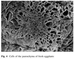 这些素菜其实都是吸油大户 警惕高油陷阱