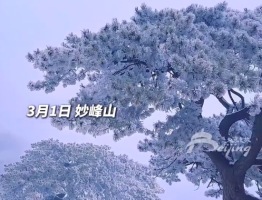 浪漫！春雪后北京妙峰山惊现雾凇