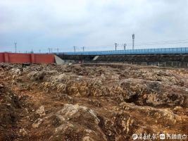 山东挖出约5亿年前“石海” 高铁施工意外发现