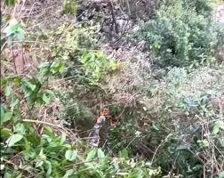 两骑车男子坠崖 15名工人接力救人 悬崖下的生死营救