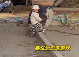 刚学会走路的萌娃反复跌倒后再爬起