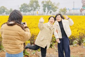 春日限定版花海上新了 东西湖金色花海成网红打卡地