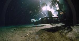 4500米深海带回528份标本，日本两处海域发现数十个新物种 深海生命新纪录