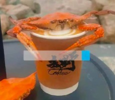 浙江整上梭子蟹咖啡了 皮皮虾：既然如此，别把我漏下