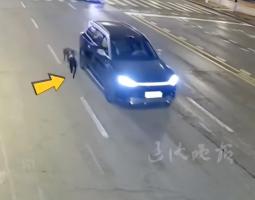 马路开车遛狗太危险交警严批评 夜间遛狗隐患大
